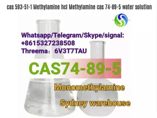 cas 593-51-1 Methylamine hcl Methylamine cas 74-89-5 water solution