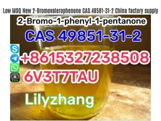 Low MOQ New 2-Bromovalerophenone CAS.49581-31-2 China factory supply