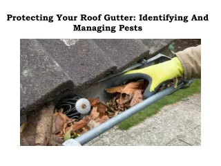 Cheap Gutter Cleaning Brooklyn Service