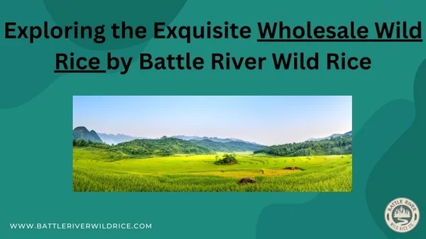 Wild Rice Pollution PPT - Wholesale Wild Rice PowerPoint Presentation, free download - ID ...