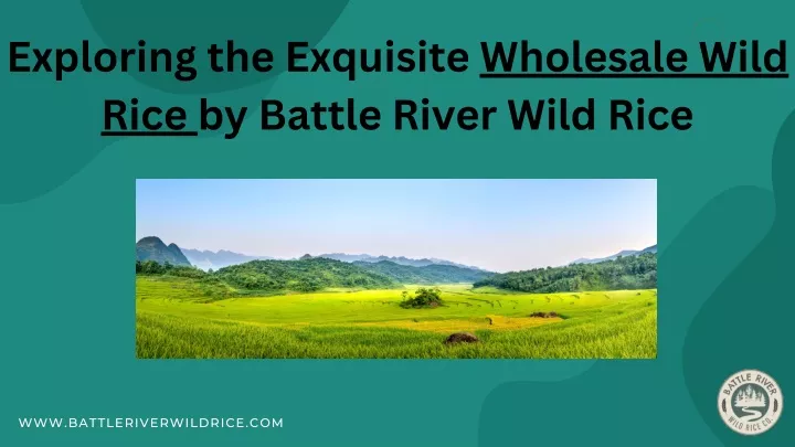 exploring the exquisite wholesale wild rice