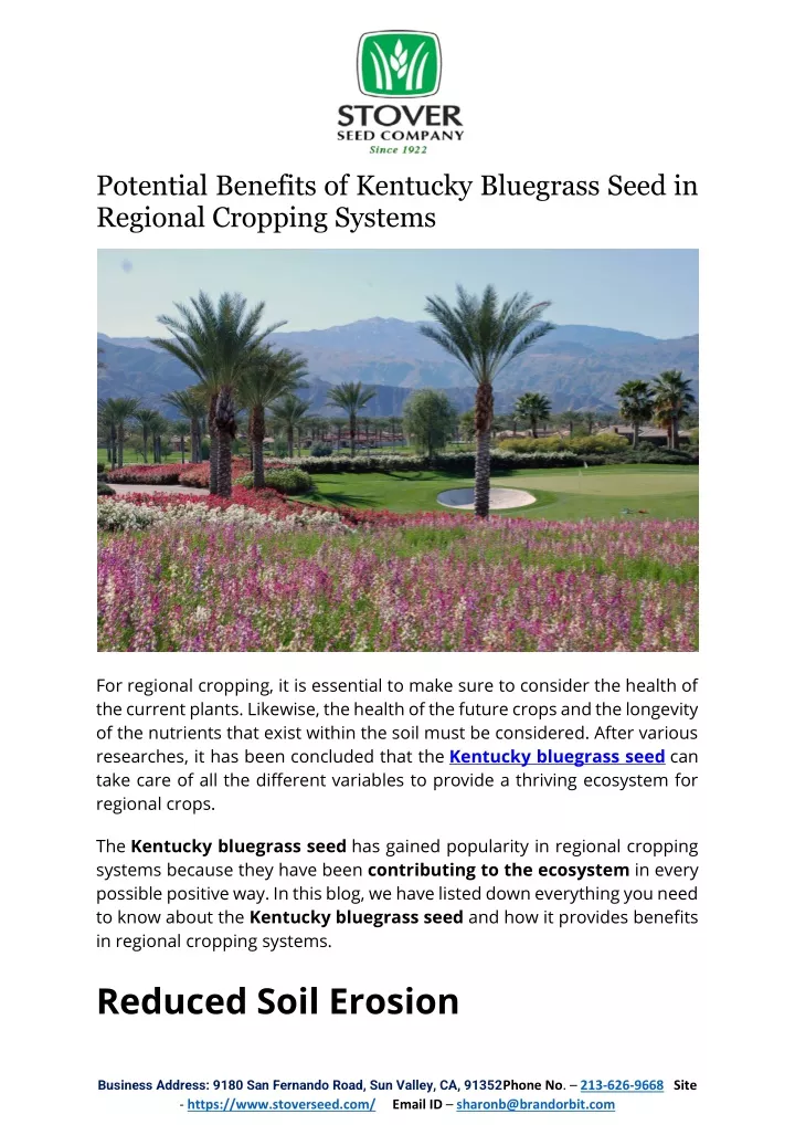 potential benefits of kentucky bluegrass seed