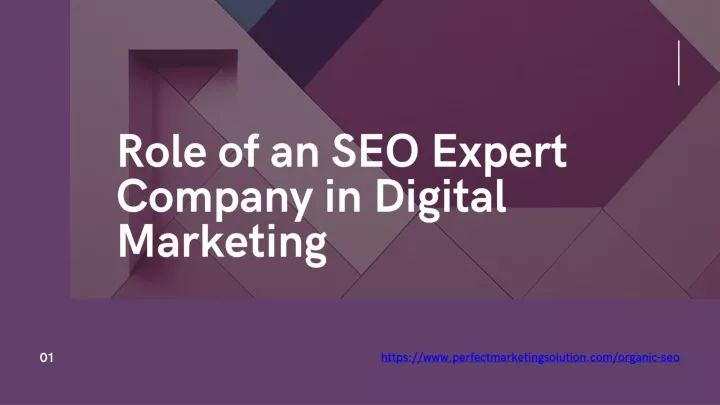 role of an seo expert company in digital marketing