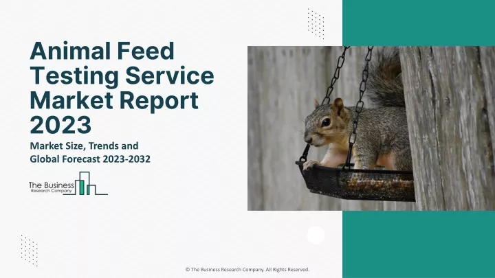 animal feed testing service market report 2023