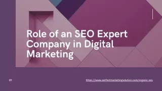Role of an SEO Expert Company in Digital Marketing