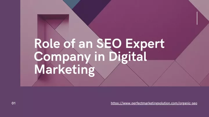 role of an seo expert company in digital marketing