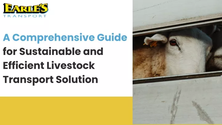 a comprehensive guide for sustainable