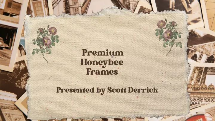 premium honeybee frames