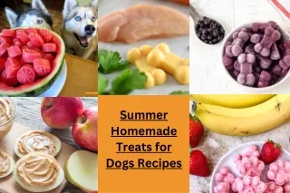 summer homemade trats for dogs