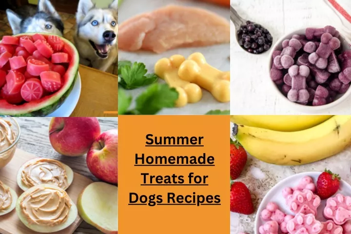 summer homemade treats for dogs recipes