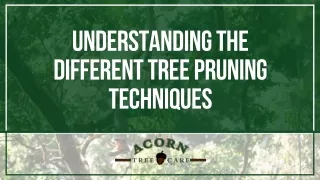 Unlock the Secrets of Tree Pruning Techniques: Enhance Your Garden Today!