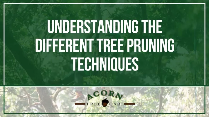 understanding the different tree pruning
