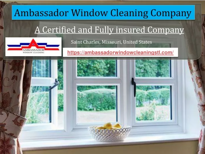 ambassador window cleaning company