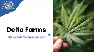 Delta-8 Vape Cartridge - Delta Farms