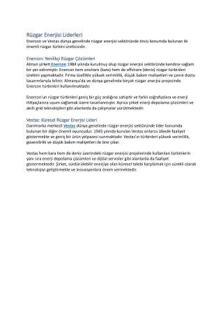 r zgar enerjisi liderleri r zgar enerjisi
