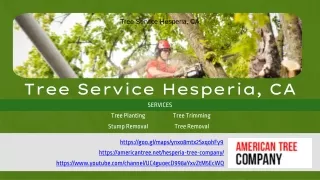 Tree Service Hesperia, CA