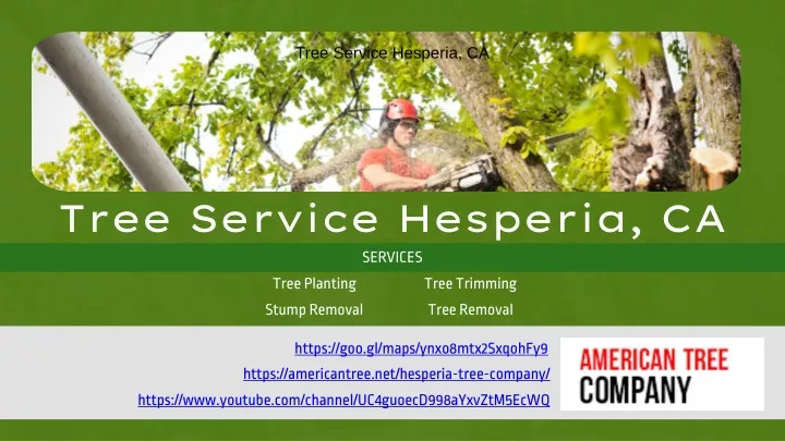 tree service hesperia ca
