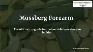 Mossberg Forearm