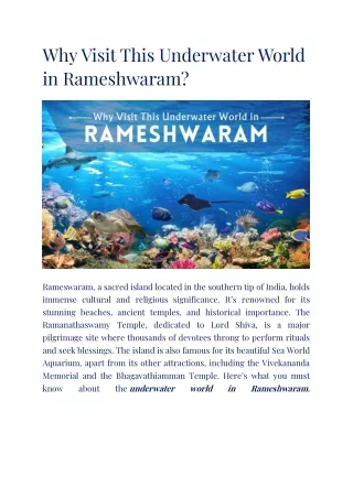All That You Must Know About Underwater World In Rameshwaram
