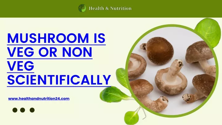 mushroom is veg or non veg scientifically