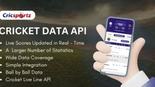 Instant Access to Live Cricket Scores: API Integration Guide