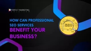 How Can Professional SEO Services Benefit Your Business
