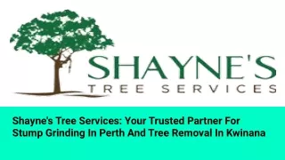 Shayne's Tree Services_ Your Trusted Partner For Stump Grinding In Perth And Tree Removal In Kwinana (1)