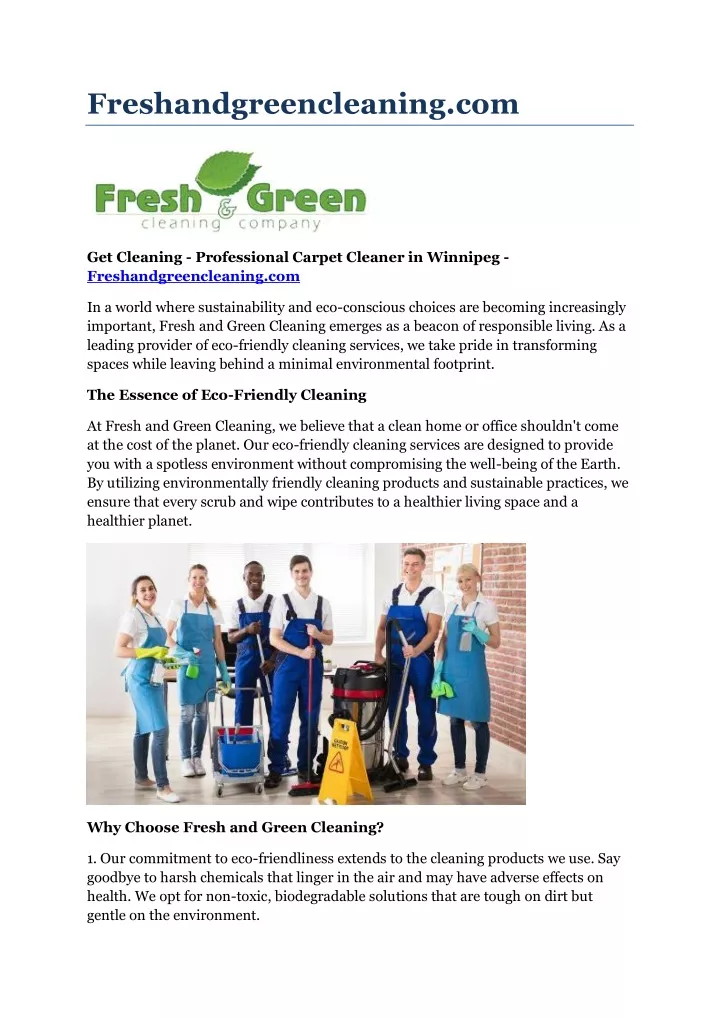 freshandgreencleaning com