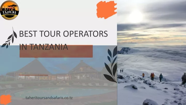 best tour operators in tanzania