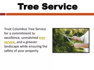 Tree Service