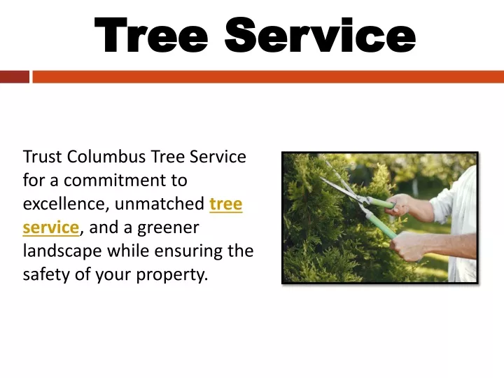 tree service