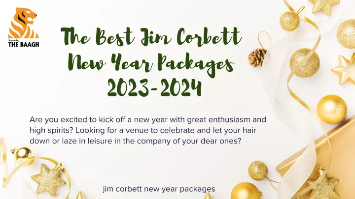 the best jim corbett new year packages 2023 2024