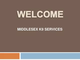 welcome