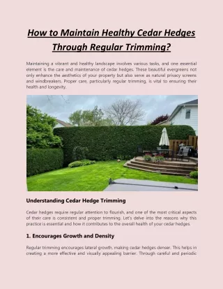 How to Maintain Healthy Cedar Hedges Through Regular Trimming