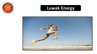 The Best Sugar-Free Energy Drinks by Luwak Energy