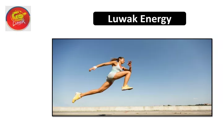 luwak energy