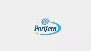 Porifera Co: Natural Sea Sponges and Diversified Skincare Innovations