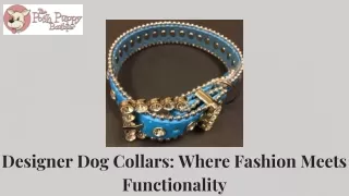 Designer Dog Collars Where Fashion Meets Functionality