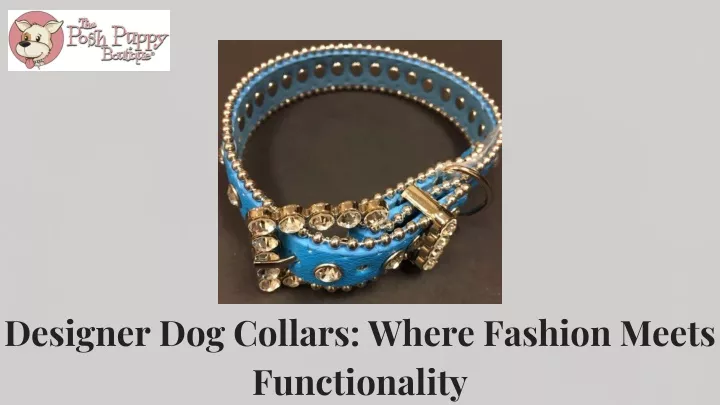 designer dog collars where fashion meets