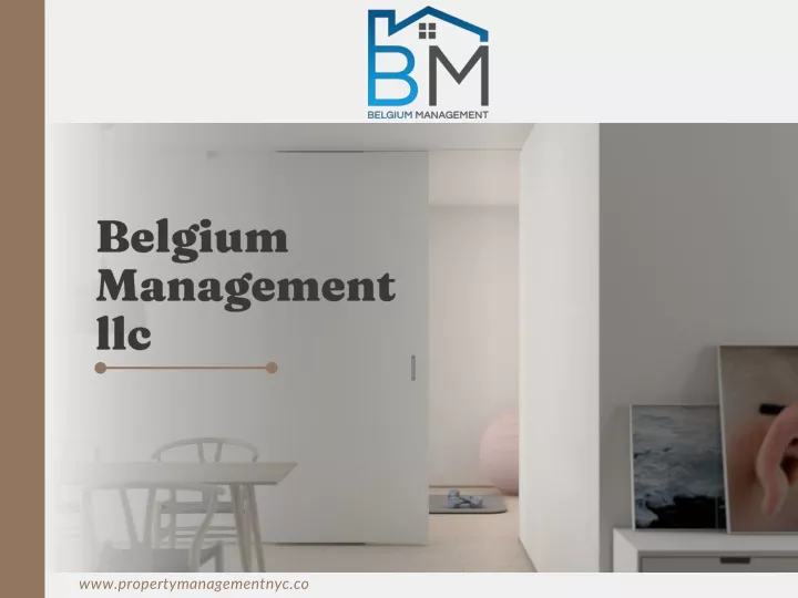 belgium management llc