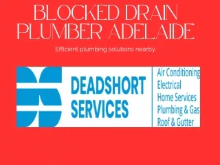 blocked drain plumber adelaide efficient plumbing