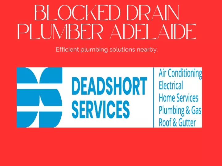 blocked drain plumber adelaide efficient plumbing