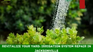 Revitalize Your Yard Irrigation pptx