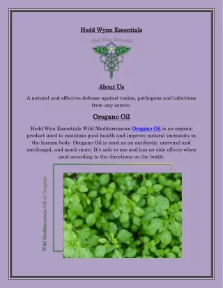 Oil of Wild Oregano