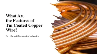 What Are the Features of Tin Coated Copper Wire?