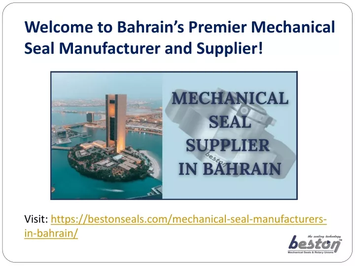 welcome to bahrain s premier mechanical seal manufacturer and supplier