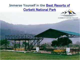 Immerse Yourself in the Best Resorts of Corbett National Park