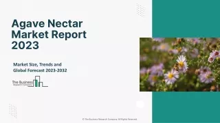 agave nectar market report 2023