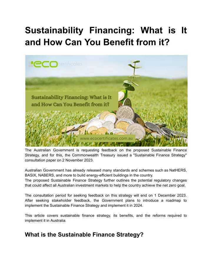 sustainability financing what
