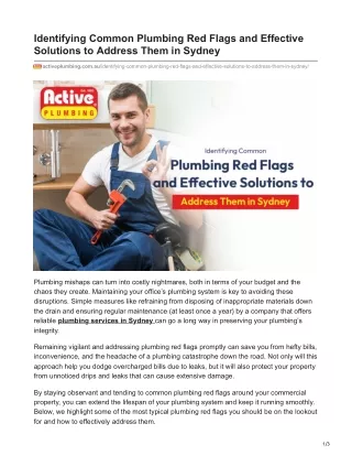 Identifying Common Plumbing Red Flags And Effective Solutions To Address Them In Sydney